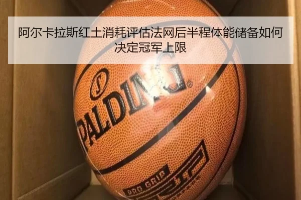 a-er-ka-la-si-hong-tu-xiao-hao-ping-gu-fa-wang-hou-ban-cheng-ti-neng-chu-bei-ru-he-jue-ding-guan-jun-shang-xian-2-236.jpg